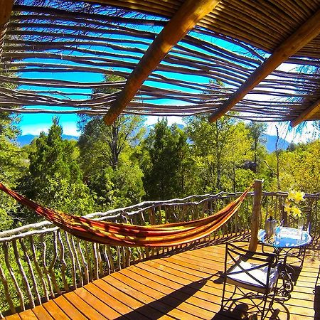 Tree Lodge Nidos De Pucon Exterior photo