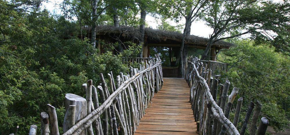 Tree Lodge Nidos De Pucon Exterior photo