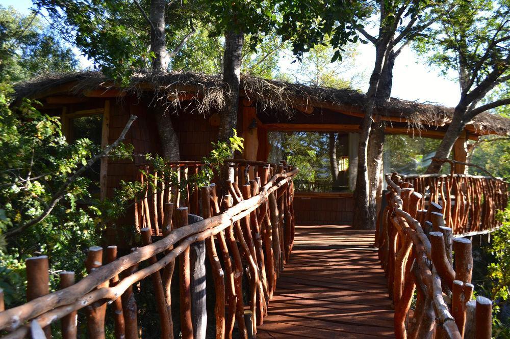 Tree Lodge Nidos De Pucon Exterior photo