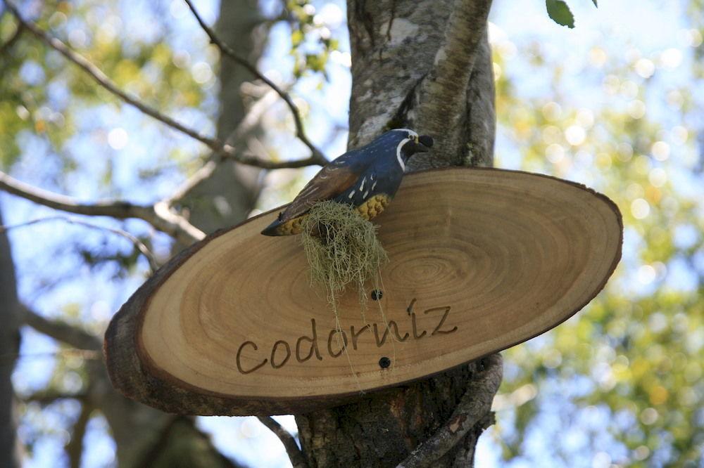 Tree Lodge Nidos De Pucon Exterior photo