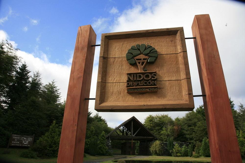 Tree Lodge Nidos De Pucon Exterior photo